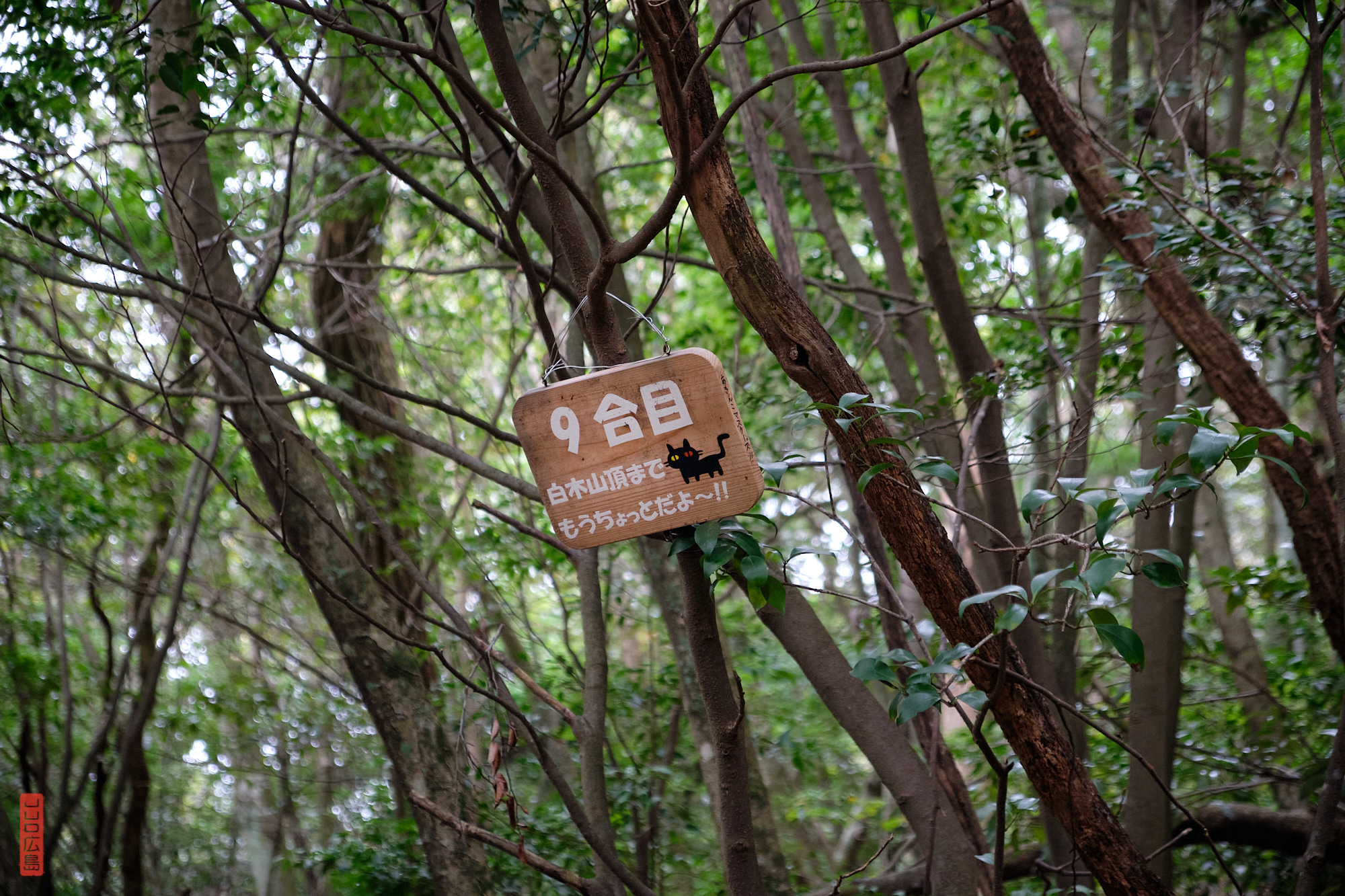 Mont Shirakiyama, 9eme borne
