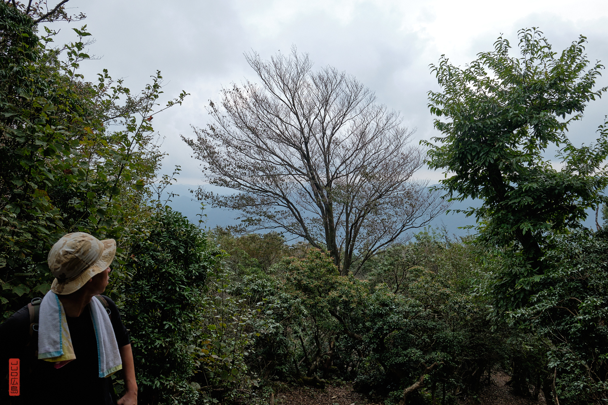 Sommet du mont Shirakiyama, Hiroshima