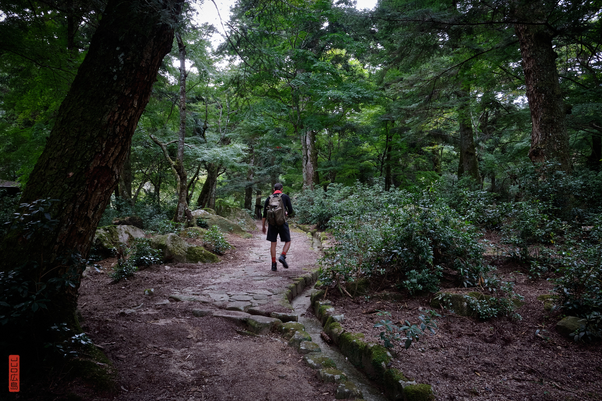 chemin Omoto, randonnée sur le Mont Misen