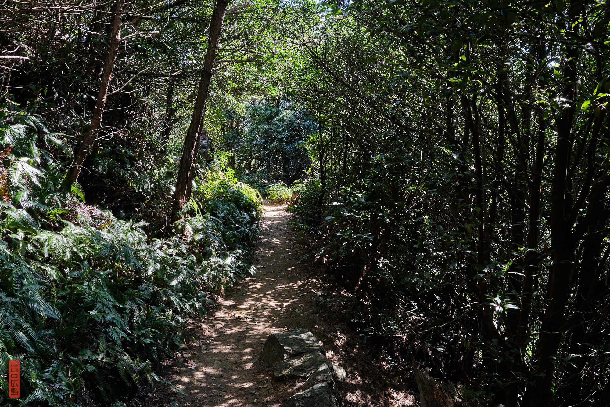 sentier de randonnée près du mont Komagabayashi, Miyajima