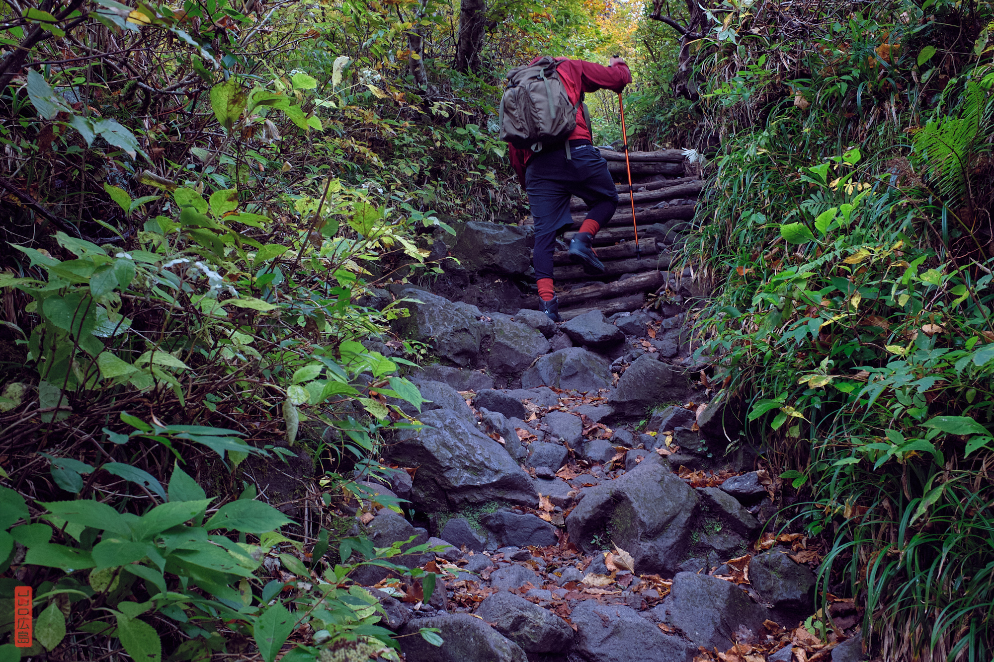 Trekking au Japon, le Mont Daisen