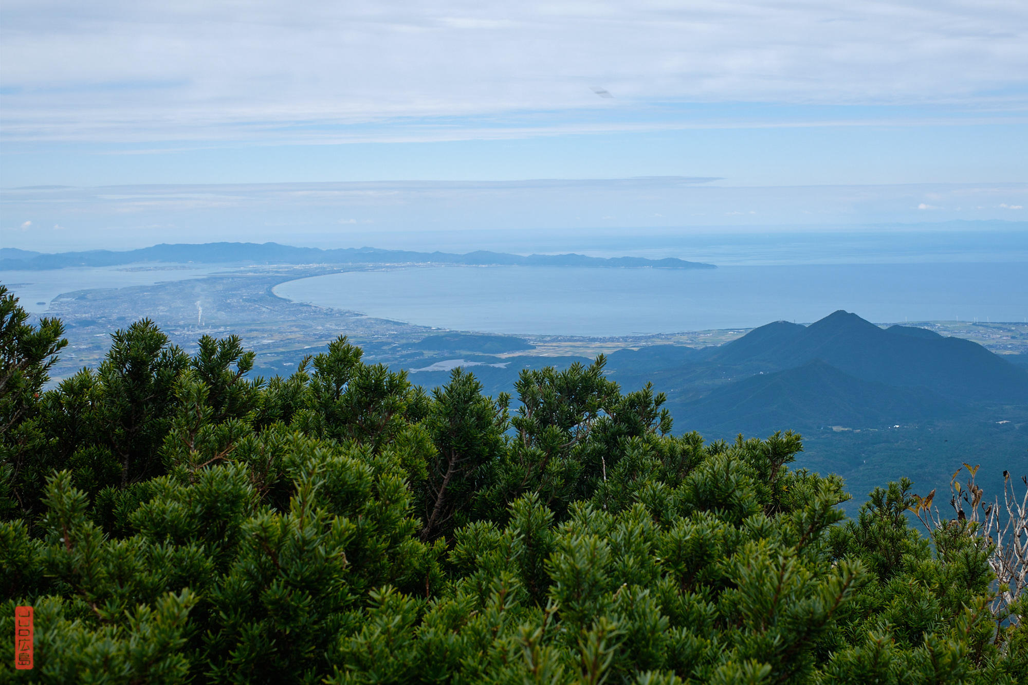 buissons de kyaraboku et vue sur la péninsule Yumigahama