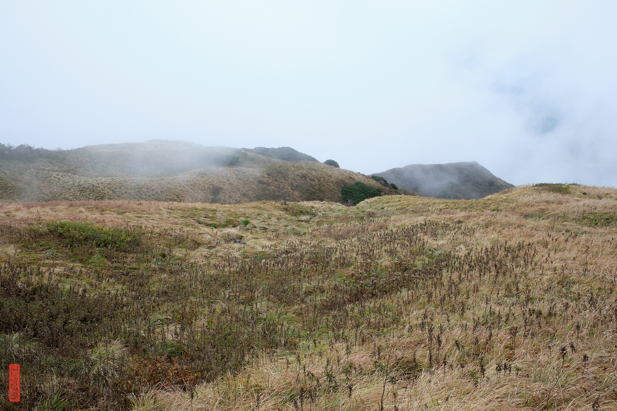 Sommet du mont Daisen
