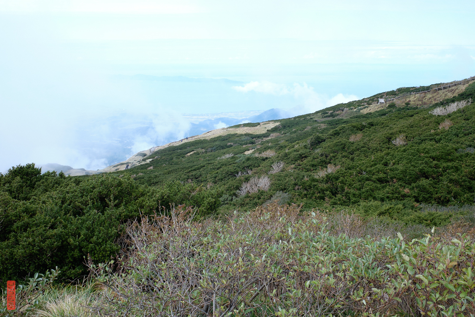 Sommet du mont Daisen