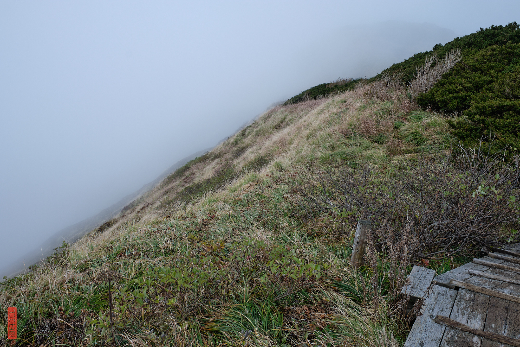 Sommet du mont Daisen dans la brume