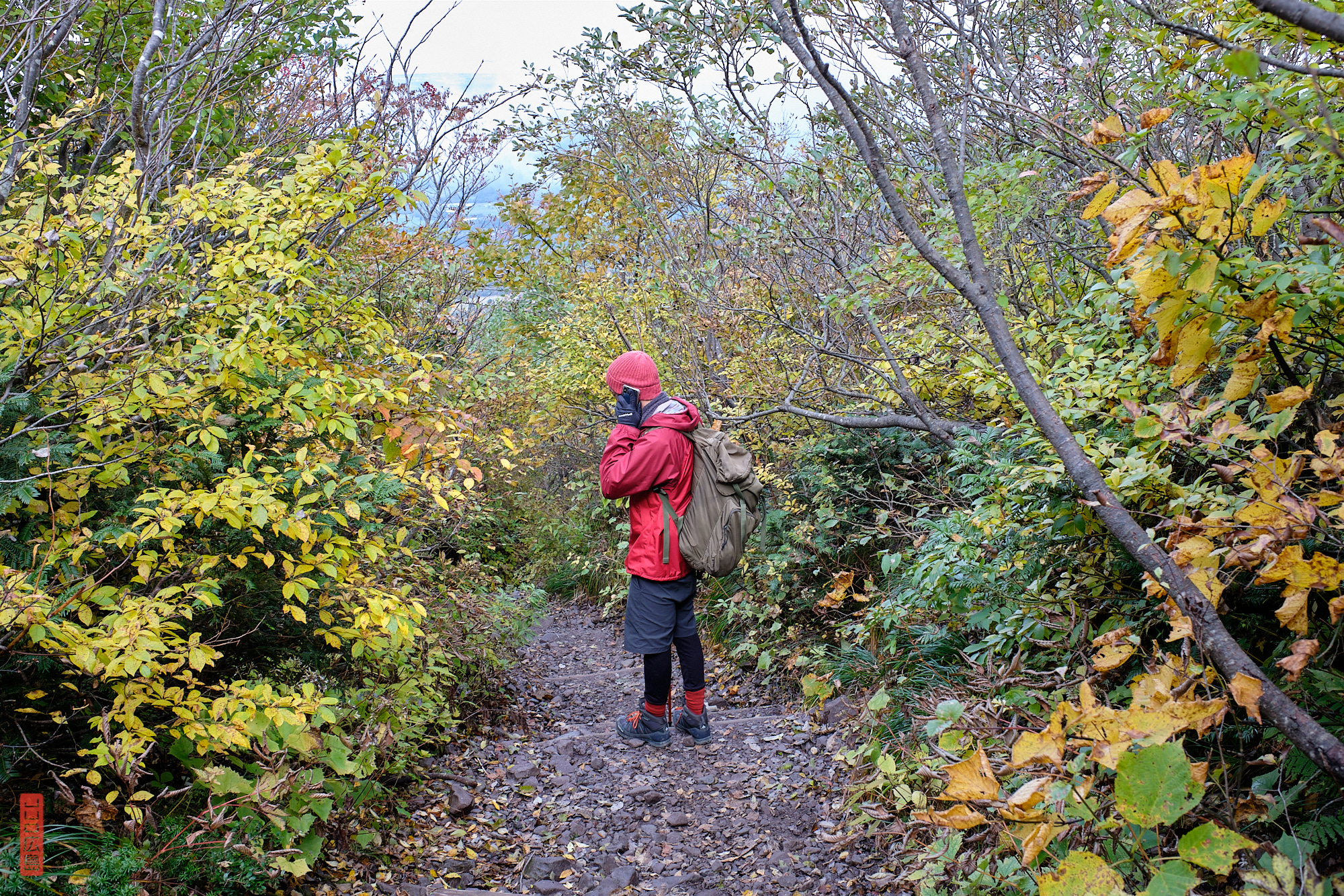descente du mont Daisen