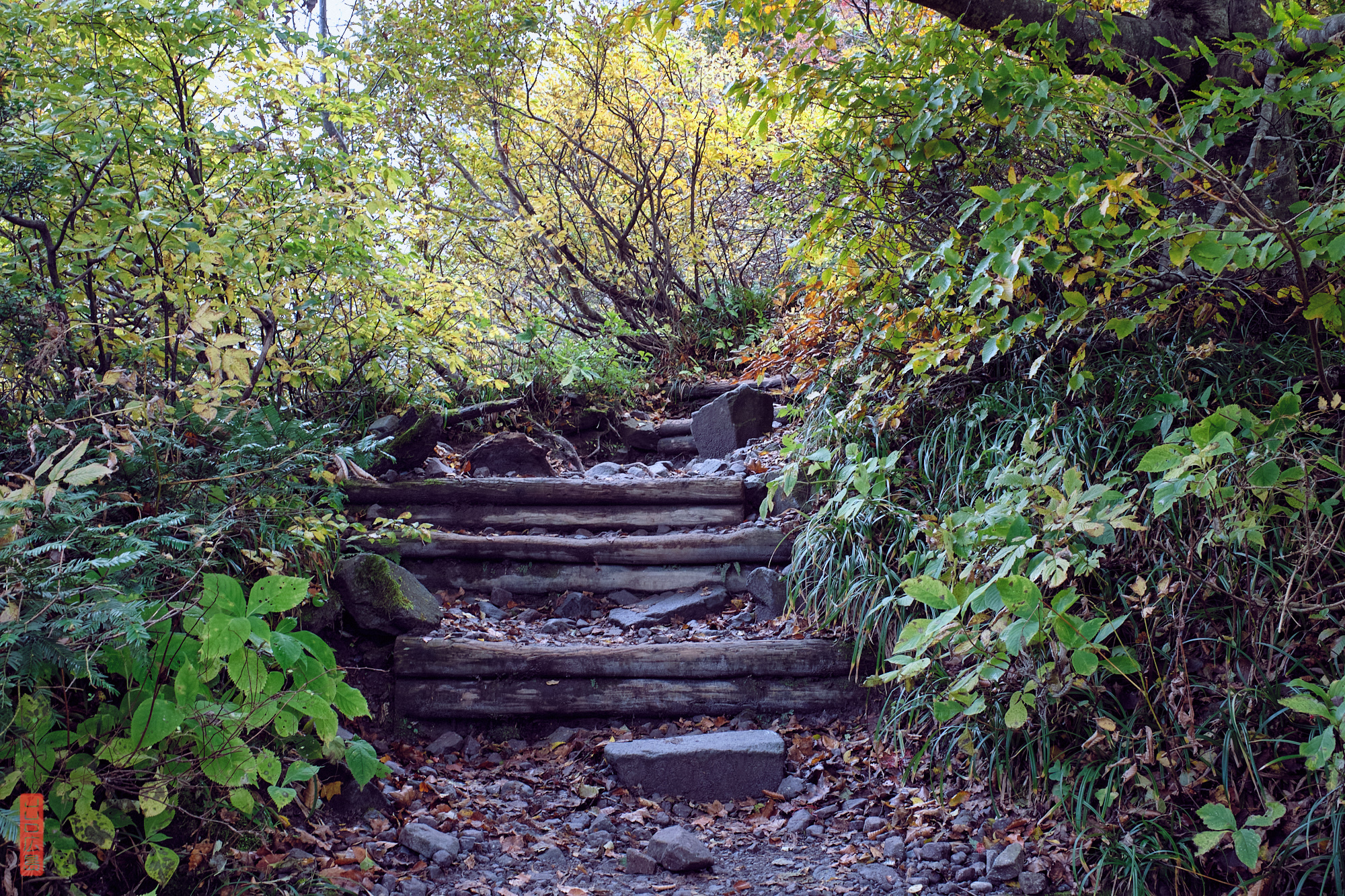 descente du mont Daisen