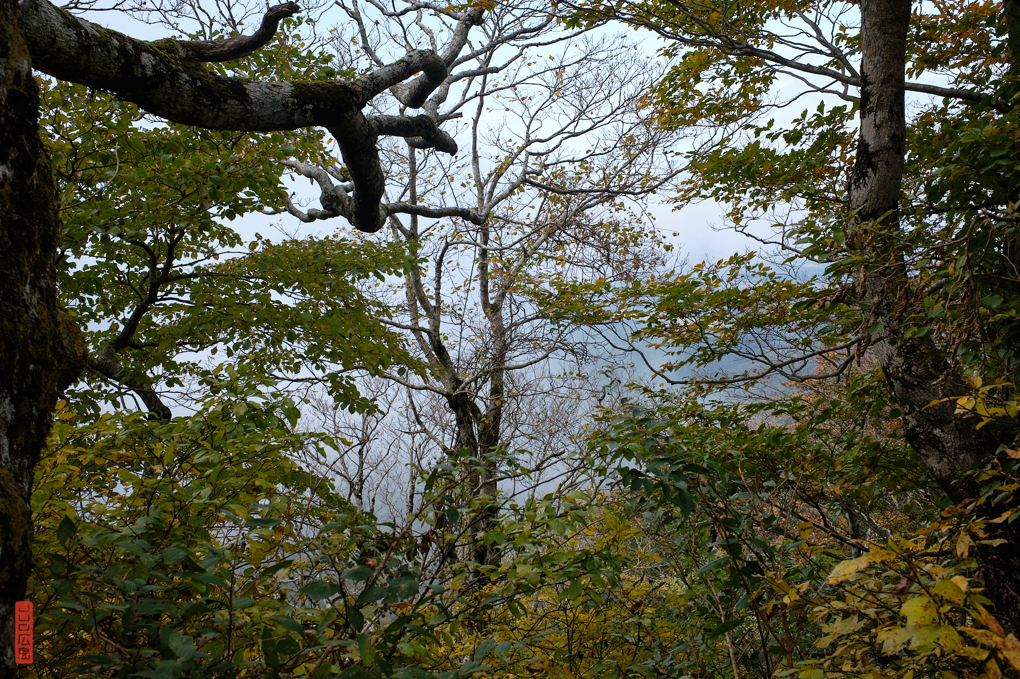 descente du mont Daisen
