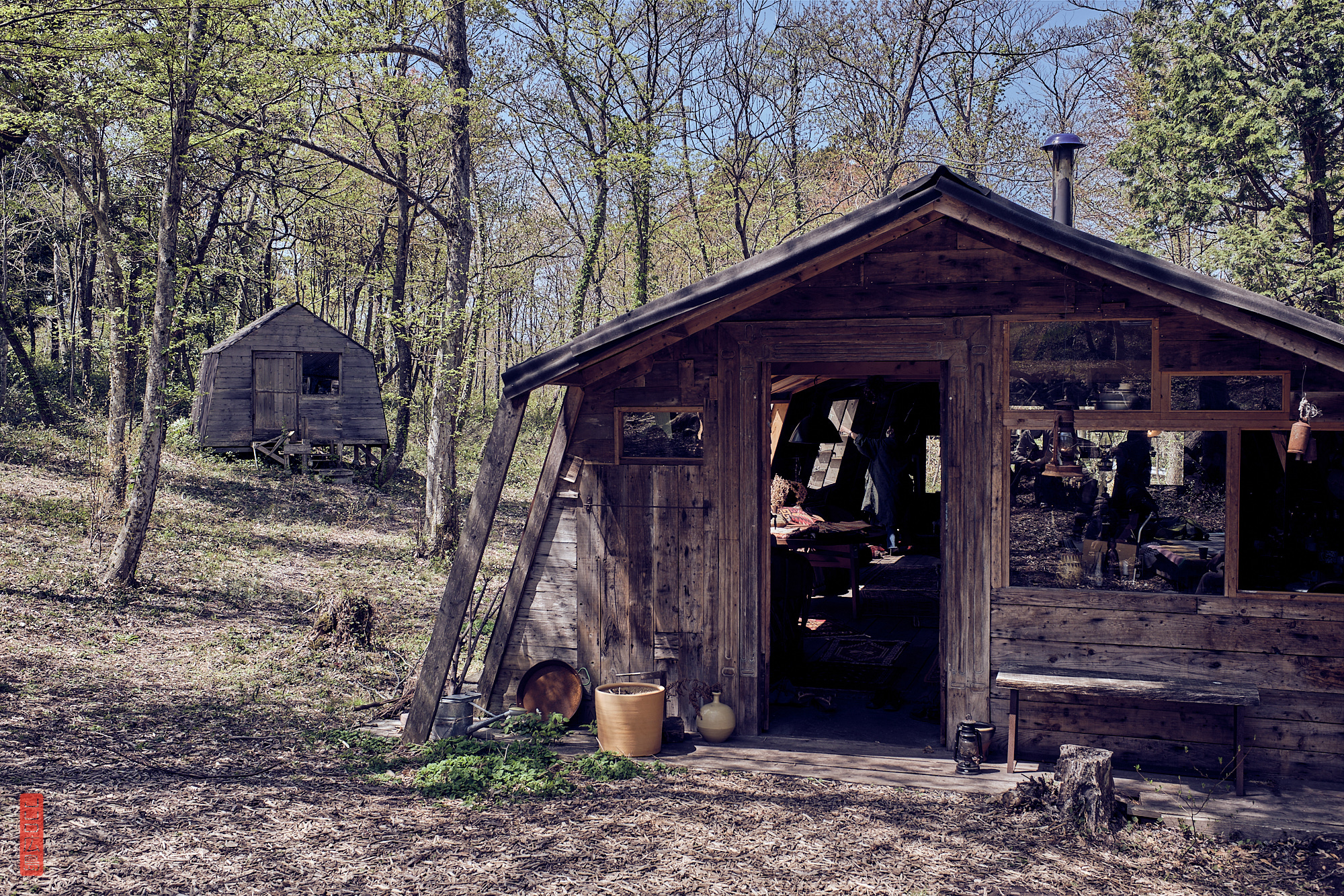 un café dans la forêt, mont Daisen, Japon