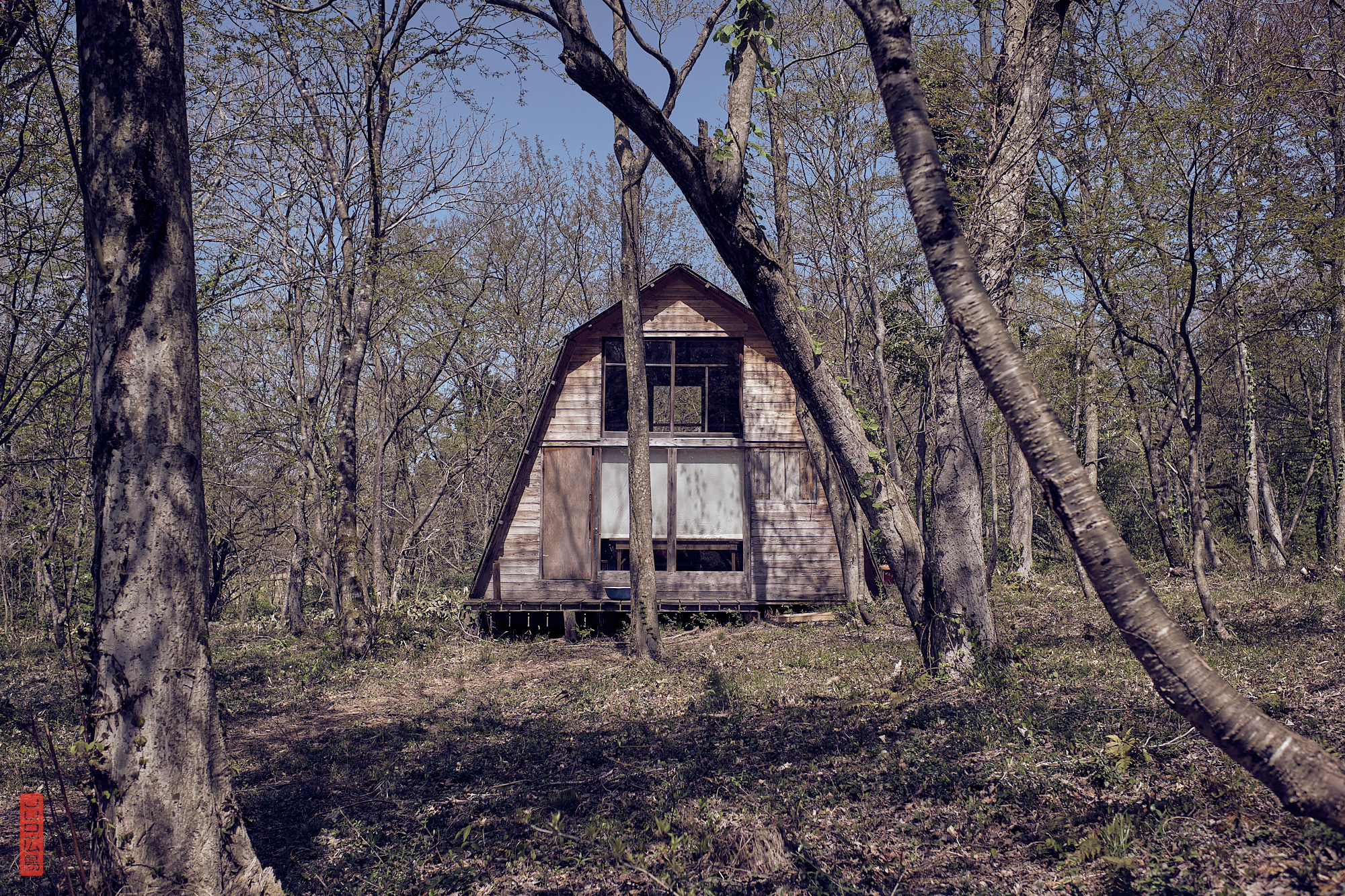 des cabanes dans la forêt, Japon