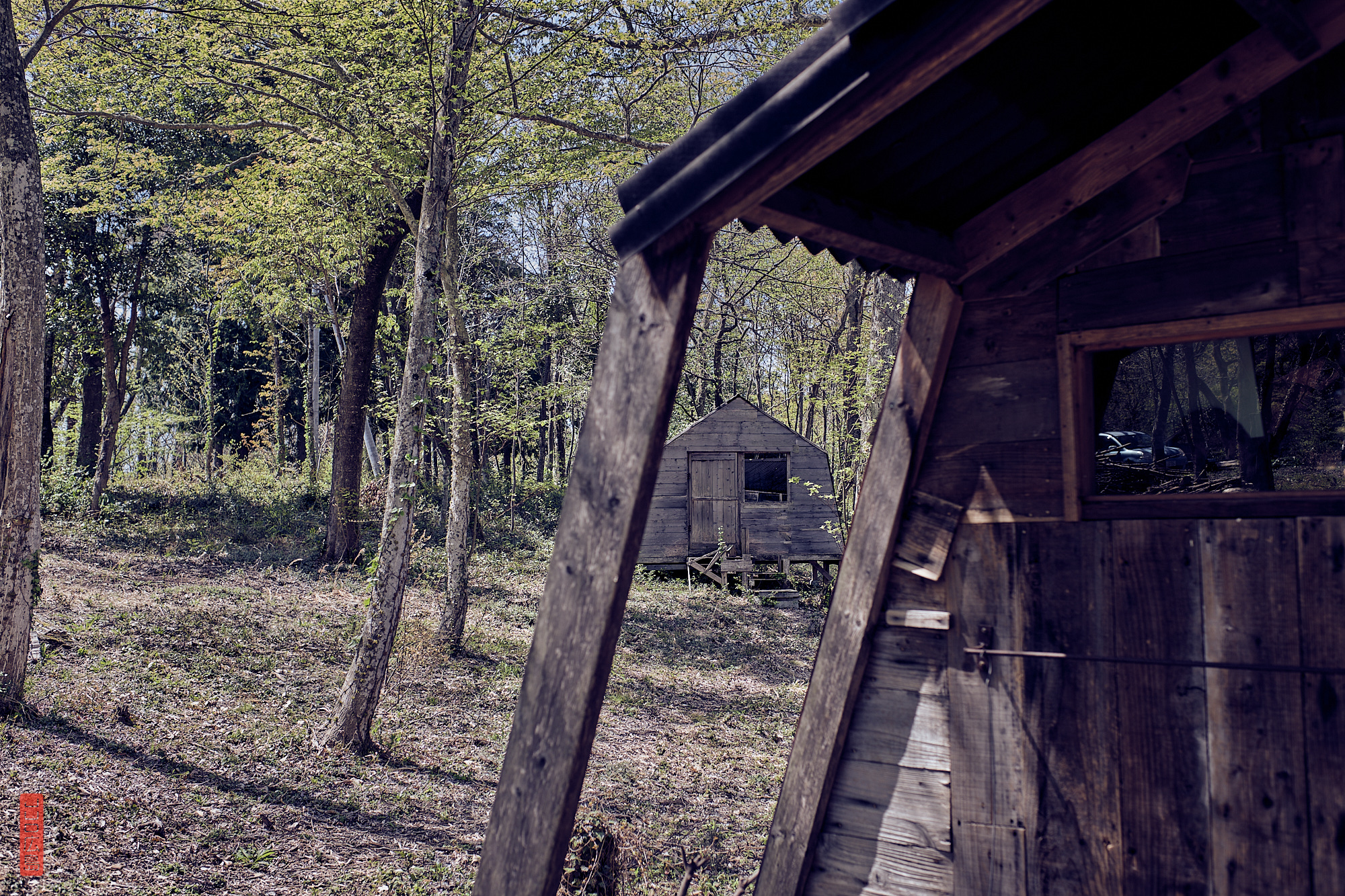 Un café et des cabanes dans la forêt