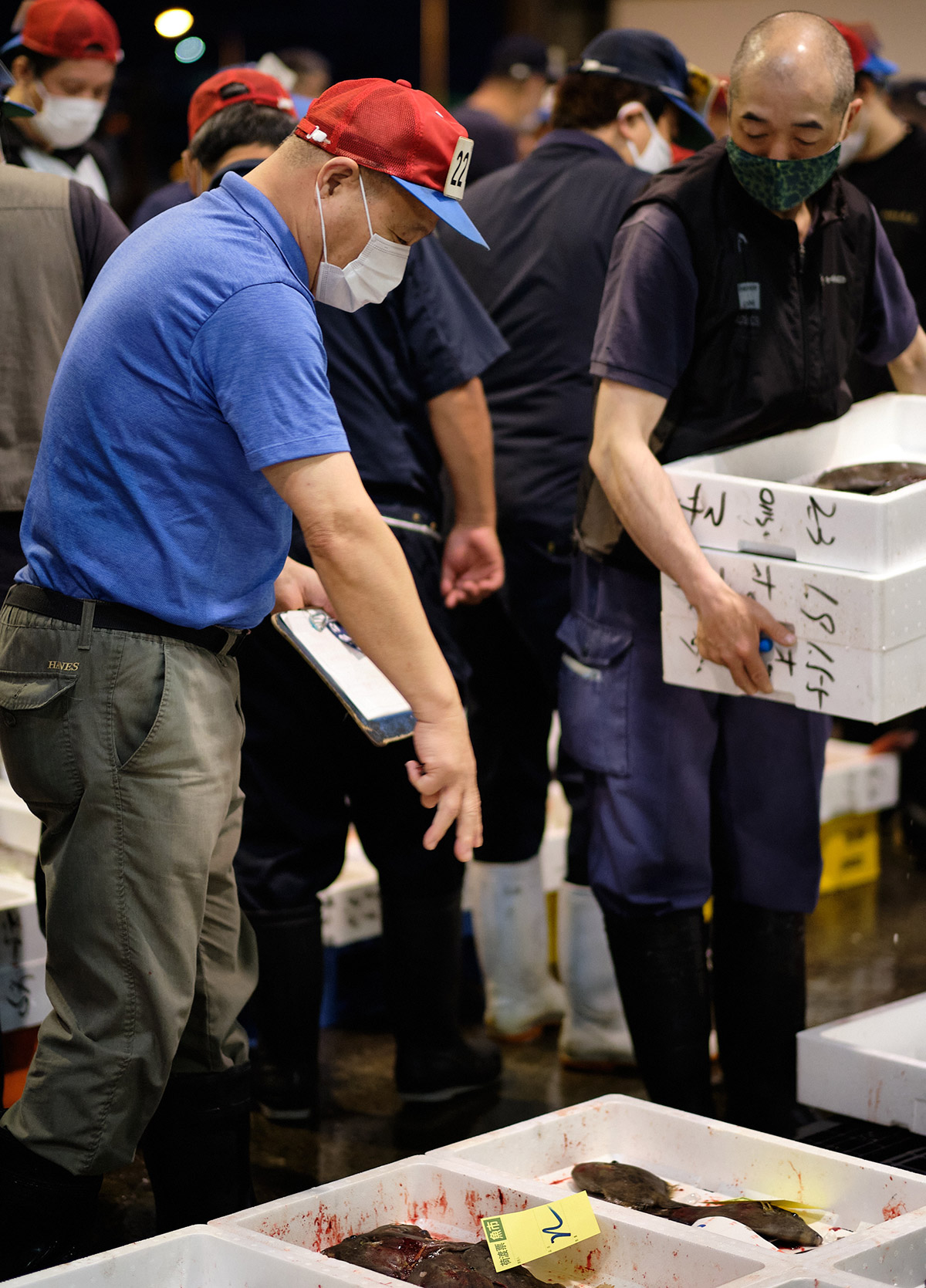 poissonnier japonais aux enchères du poisson